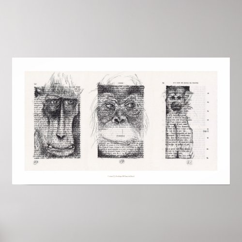 3 Wise Monkeys Chinese New Year Zodiac Poster