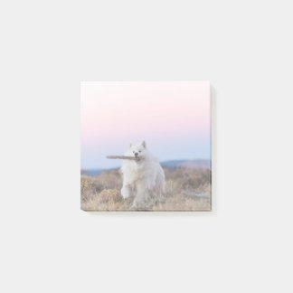 3"x3" Notes - Branch Manager