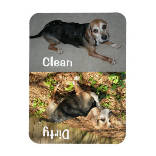 3" x 4" Clean/Dirty Beagle Photo Dishwasher Magnet