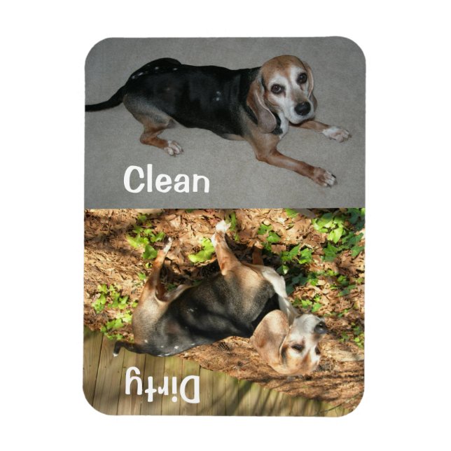 3" x 4" Clean/Dirty Beagle Photo Dishwasher Magnet (Vertical)