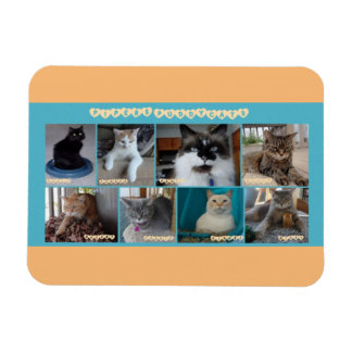 3 x 4 flexible magnet