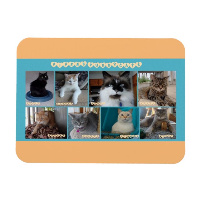 3 x 4 flexible magnet (Horizontal)