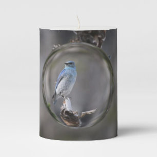 3" x 4" Pillar Candle Bluebird Lensball Photo