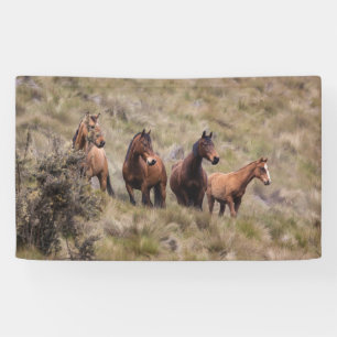 3' x 5' Banner