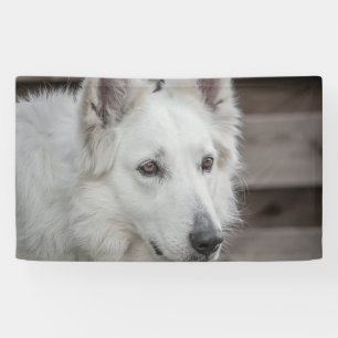 3' x 5' Banner