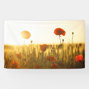 3' x 5' Banner