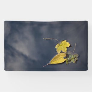 3' x 5' Banner