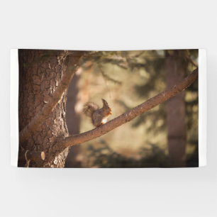 3' x 5' Banner
