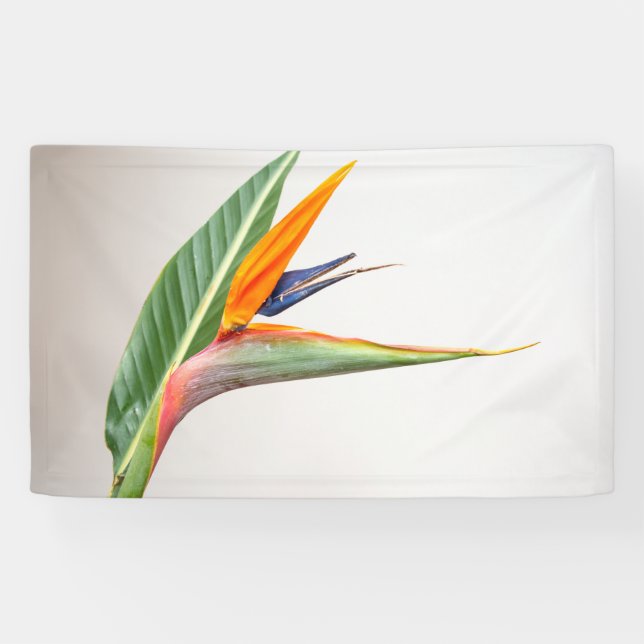 3' x 5' Banner (Horizontal)