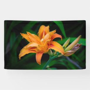 3' x 5' Banner