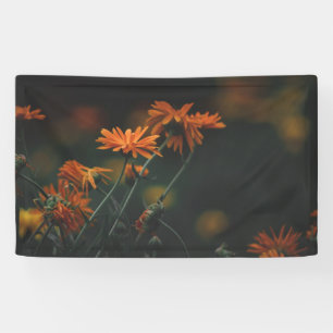 3' x 5' Banner