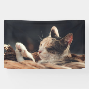 3' x 5' Banner