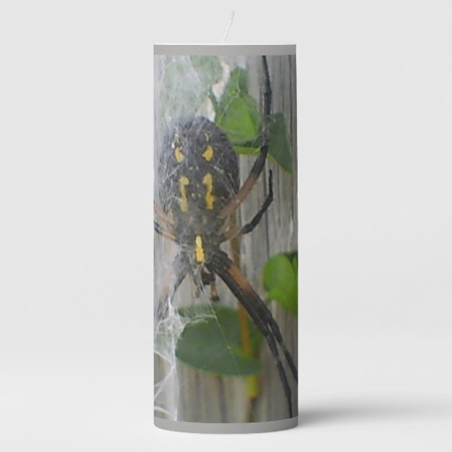 3 x 8 Banana Spider Pillar Candle (Front)