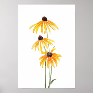 3 yellow black eyed Susan gloriosa daises watercol Poster