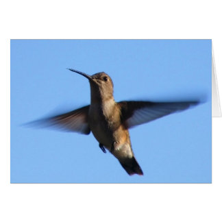 3aJ Hummingbird Flying in a Blue Sky Cards