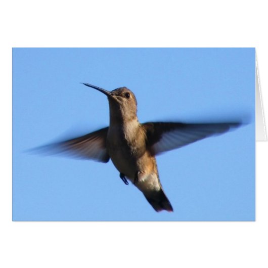 3aJ Hummingbird Flying in a Blue Sky Cards (Front Horizontal)