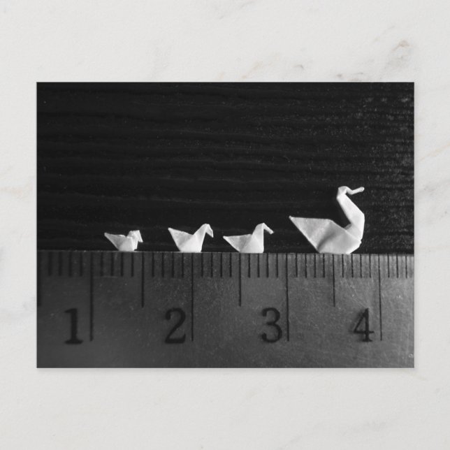 3cm Family Swim Postcard (Front)