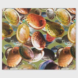 3D Abalone Colorful Seashell Wrapping Paper