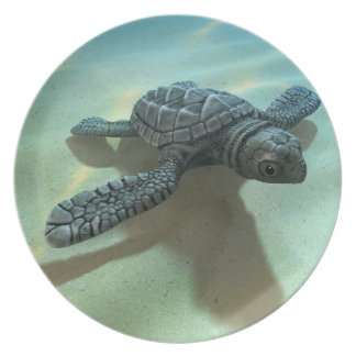 Turtle Plates | Zazzle