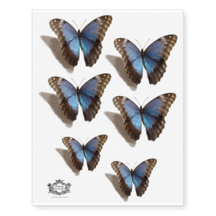 3d Blue Morpho Butterfly Temporary Tattoos