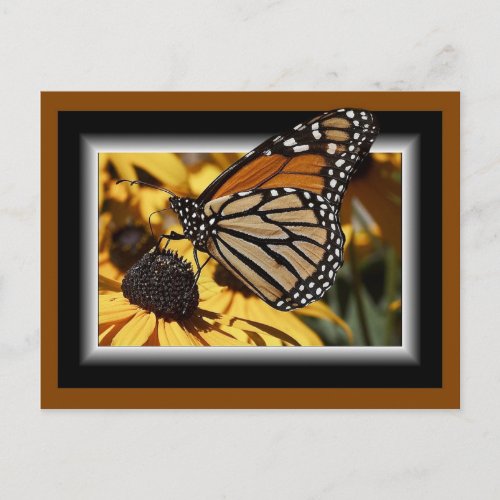 3D BUTTERFLY POSTCARD