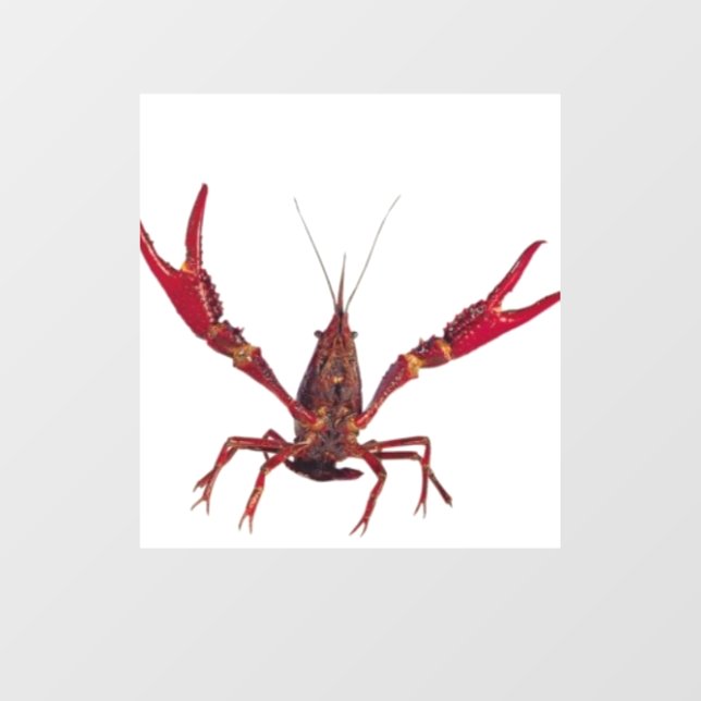 3D Crawfish Ornament (Front)