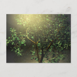 3D Japanese Maple Tree Postcard