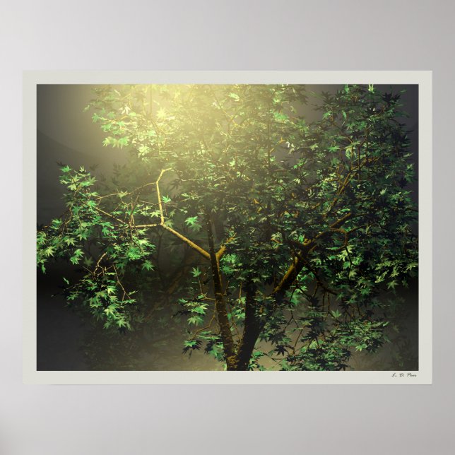 3D Japanese Maple Tree Poster (Front)