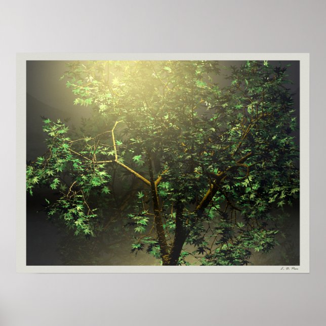 3D Japanese Maple Tree Poster (Front)