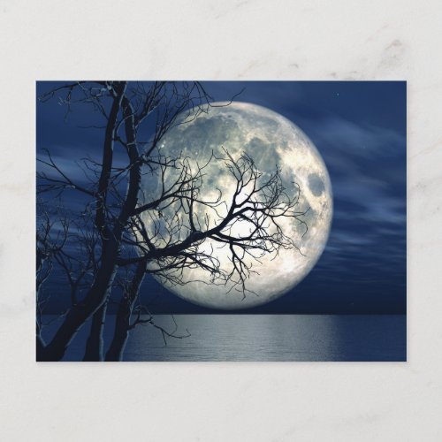 3D Landscape Background With Moon Over The Sea Postcard