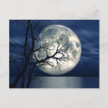 3D Landscape Background With Moon Over The Sea Postcard