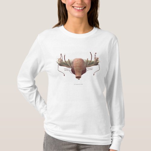 3d model of the female reproductive system T_Shirt