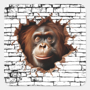 3D Orangutan Wall Break Art – Realistic Safari Square Sticker