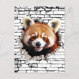 3D Red Panda Wall Break Art – Realistic Safari Postcard