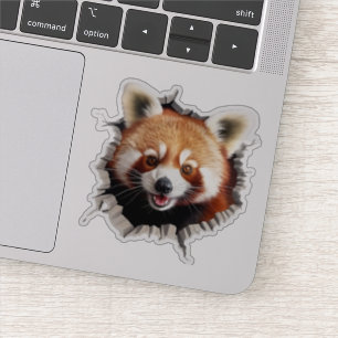 3D Red Panda Wall Break Art – Realistic Safari Sticker