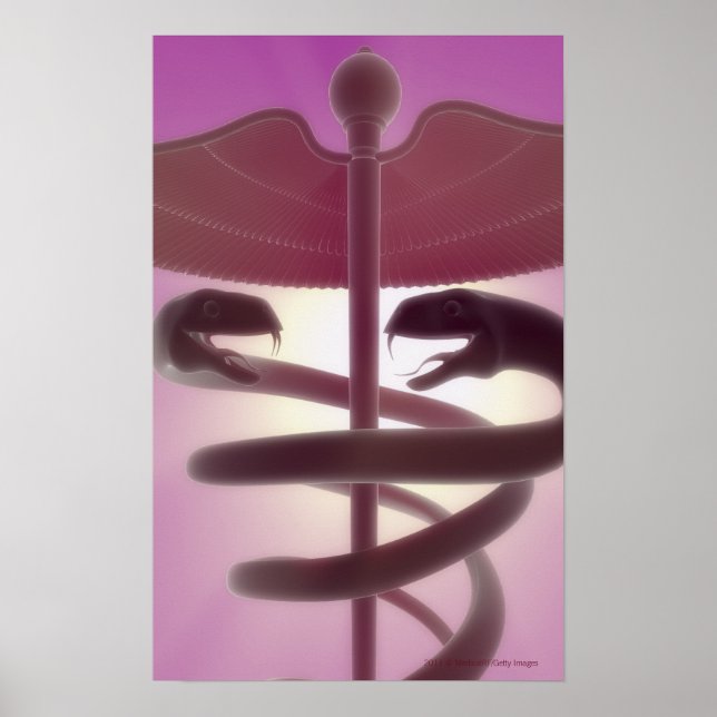 3d rendered medical caduceus poster (Front)