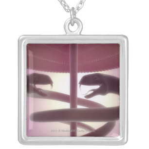 3d rendered medical caduceus silver plated necklace