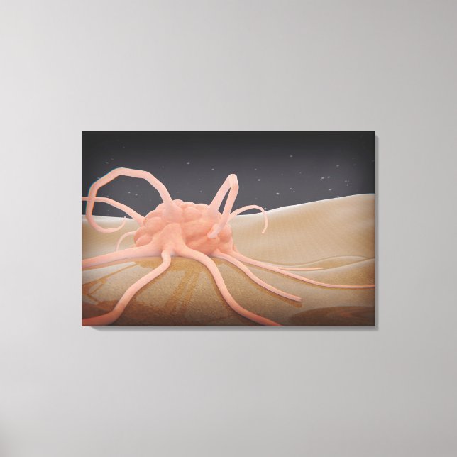 3D Rendering Of Macrophage Phagocytosis Canvas Print (Front)