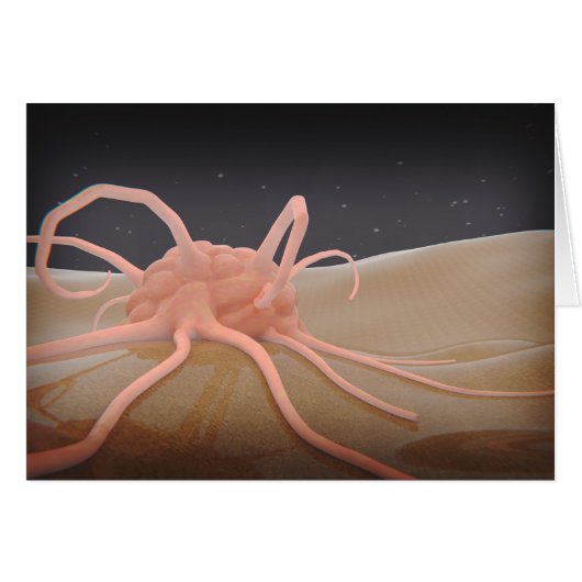 3D Rendering Of Macrophage Phagocytosis Cards (Front Horizontal)
