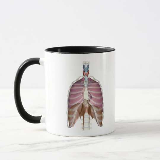 3d rendering of the respiratory system mug
