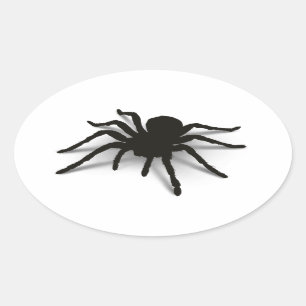 3D Spider Oval Sticker