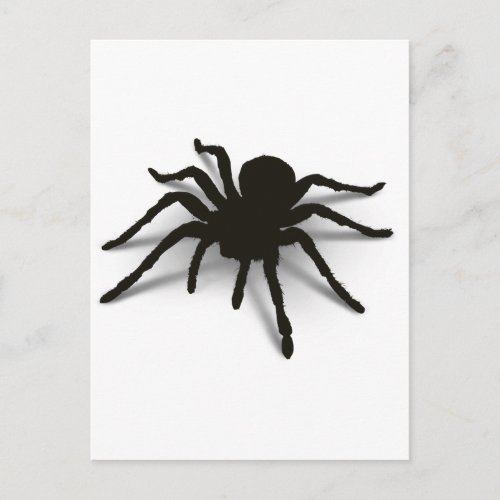 3D Spider Postcard