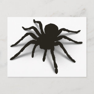 3D Spider Postcard