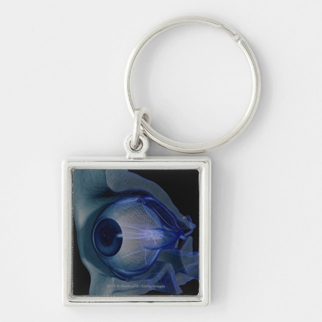 3d wireframe of the eye muscles in a socket keychain (Front)