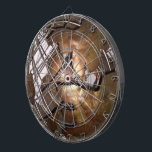 3D World Dartboard With Darts<br><div class="desc">3D Brass Globe photography creates a very unique dart board to add some interest to your wall and have fun with it as well. photography by kaps images</div>