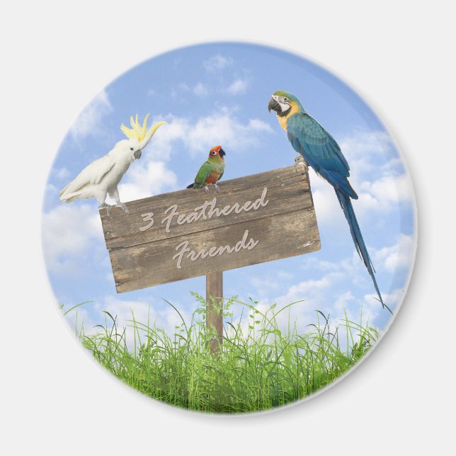 3FF magnet (Front)