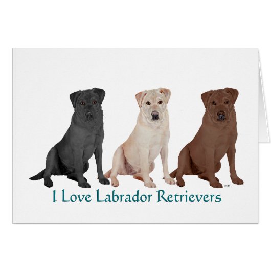 3Labs Cards (Front Horizontal)