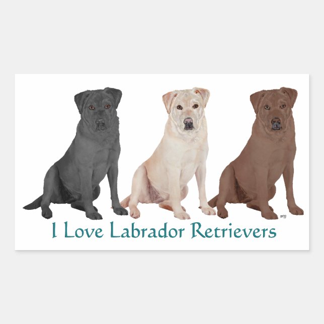3Labs Rectangular Sticker (Front)