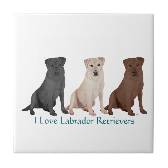 3Labs Tile (Front)