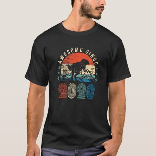 3rd Birthday Awesome Since 2020 Retro Dinosaur Boy T_Shirt